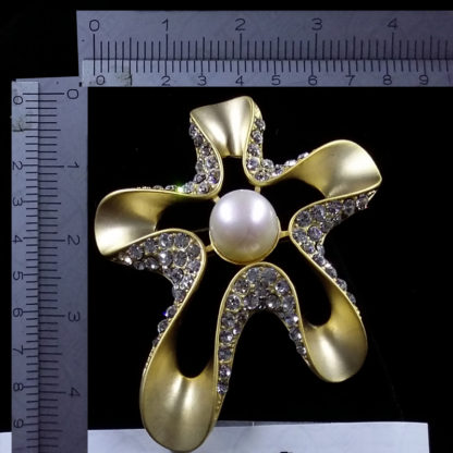 Starfish II - Image 6