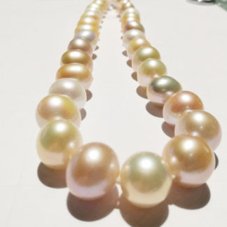 Light Champagne I