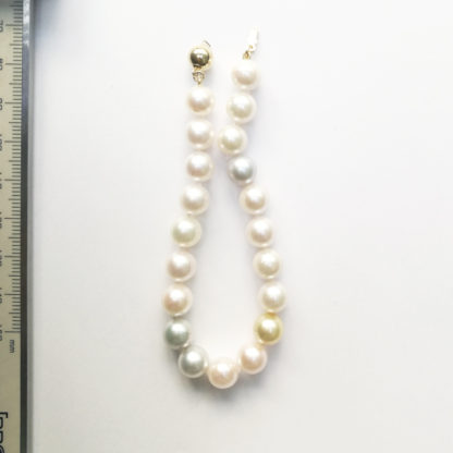 SL.00075.00001 - Image 11