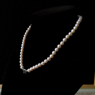Bow-knot XVIII