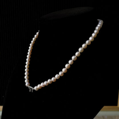 Bow-knot XVIII