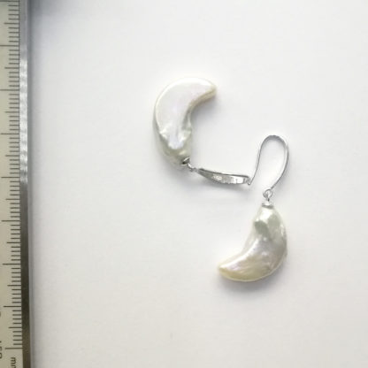 EG.00317.0 - Image 5