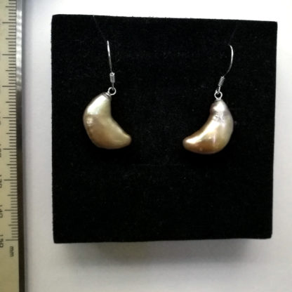 EG.00318.00001 - Image 7