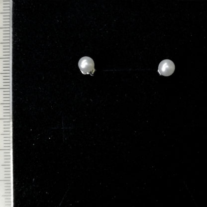 ED.00391.00005 - Image 2