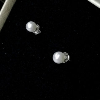 ED.00391.00005