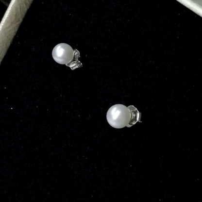 ED.00391.00005