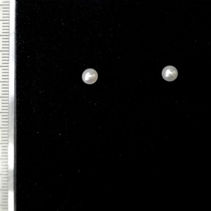 ED.00391.00006 - Image 2