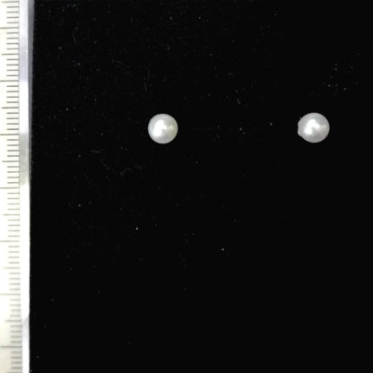 ED.00391.00012 - Image 2