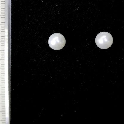 ED.00475.0 - Image 2