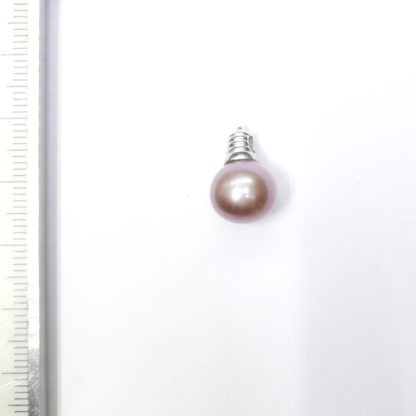 DZ.00146.00001 - Image 8