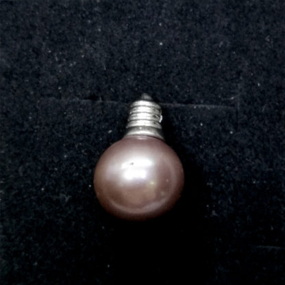 DZ.00146.00001 - Image 10