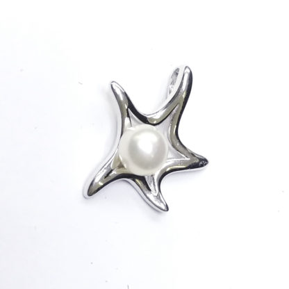 DZ.00149.00001 - Image 5
