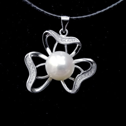 DZ.00236.00001