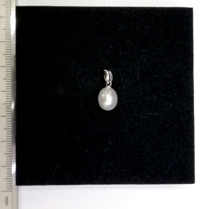 DZ.00127.00016 - Image 2