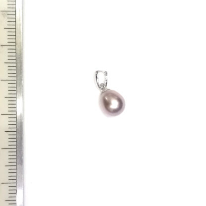 DZ.00128.00014 - Image 3