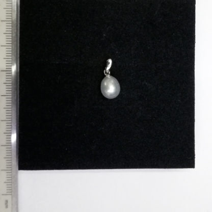 DZ.00128.00015 - Image 2