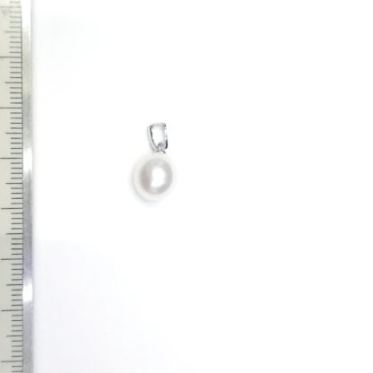 DZ.00130.00008 - Image 3