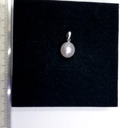 DZ.00130.00008 - Image 2
