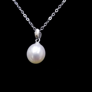 DZ.00130.00008