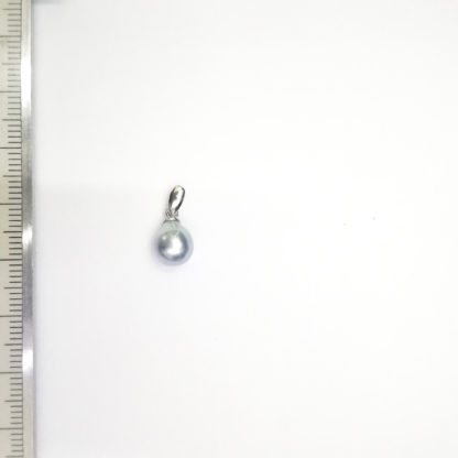DZ.00239.00001 - Image 3