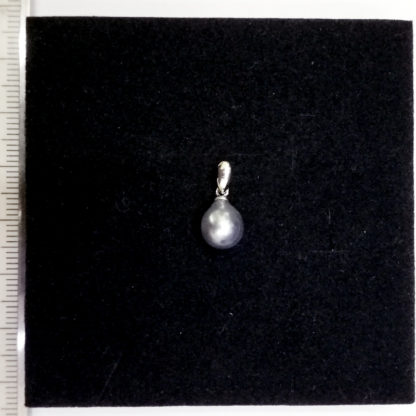 DZ.00239.00001 - Image 2
