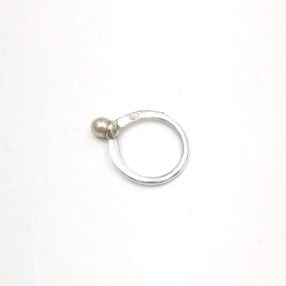 JZ.00066.00001