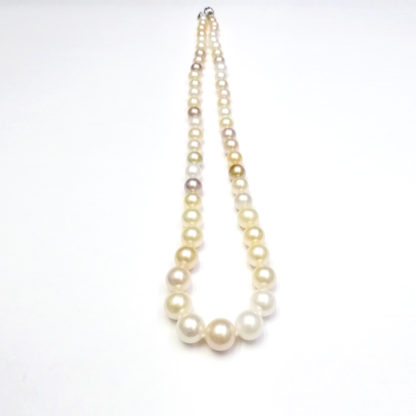 XL.00346.00001 - Image 5