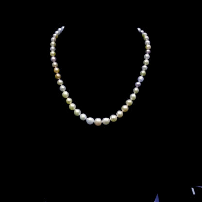 XL.00346.00001 - Image 7