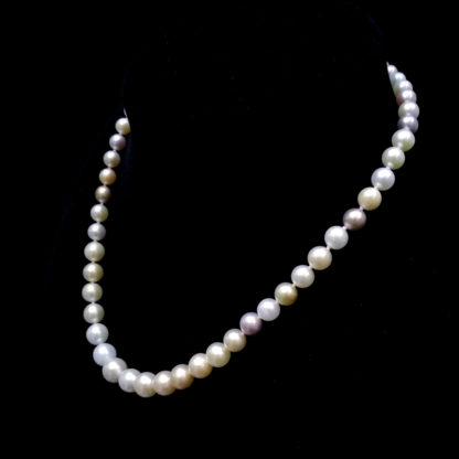 XL.00346.00001 - Image 9