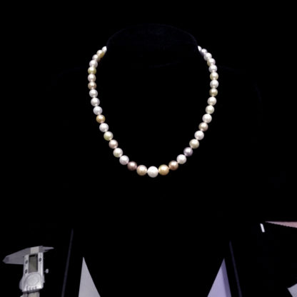 XL.00346.00002 - Image 8