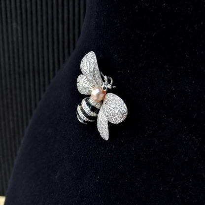 XZ.00242.00001