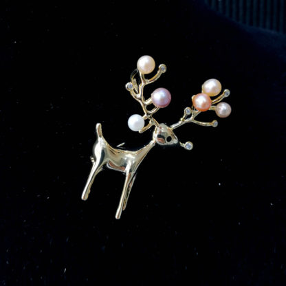 XZ.00251.00001