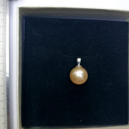 DZ.00219.0 - Image 3