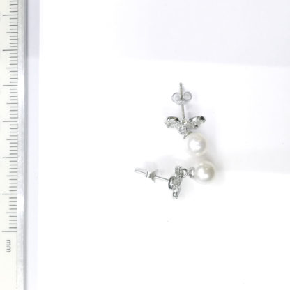 ED.00335.00001 - Image 2