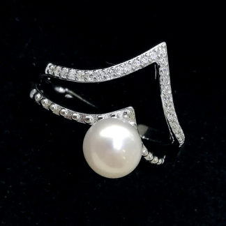JZ.00041.00001