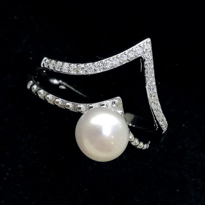 JZ.00041.00001