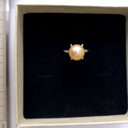 JZ.00049.00001 - Image 2
