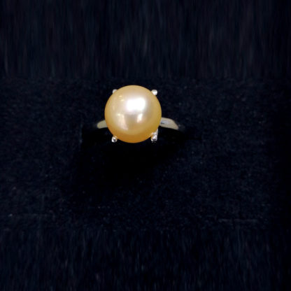 JZ.00049.00001 - Image 4