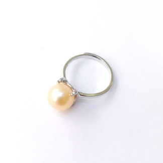 JZ.00049.00001