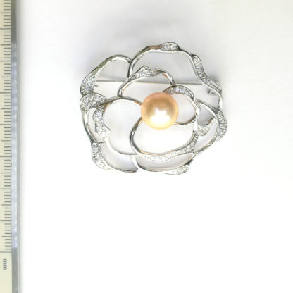 XZ.00165.00002 - Image 2