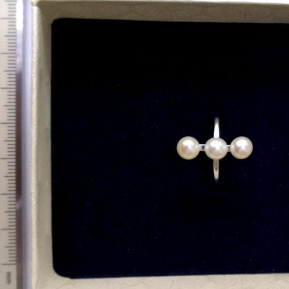 JZ.00030.00001 - Image 3