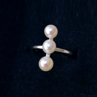 JZ.00030.00001