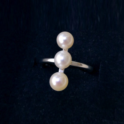 JZ.00030.00001