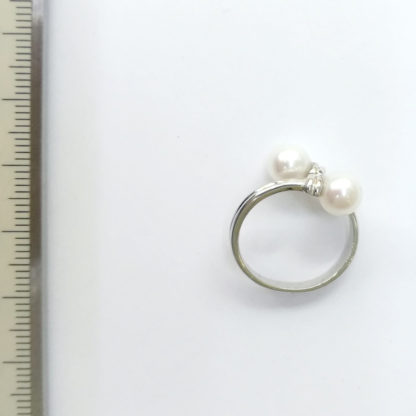 JZ.00031.00001 - Image 2