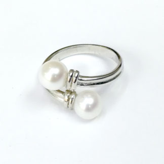 JZ.00031.00001
