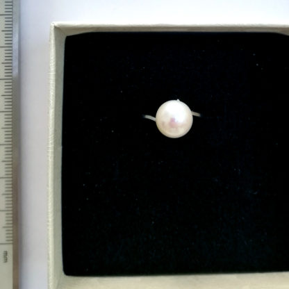 JZ.00022.0 - Image 3