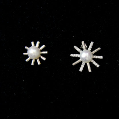 ED.00274.0