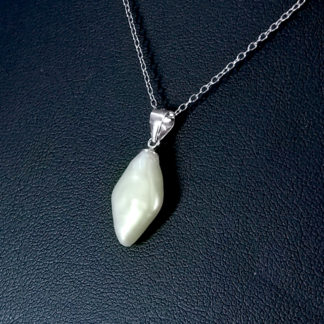 DZ.00339.00001