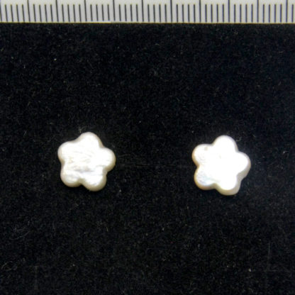 ED.00527.0 - Image 7