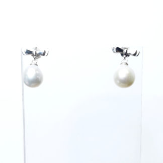 ED.00308.00001